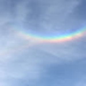 Meet your Posher, Barbara a.